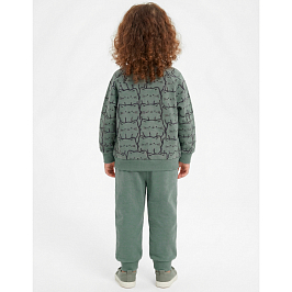 Костюм футер 2х нитка начёс 8003310103