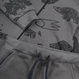 Костюм футер 2х нитка начёс 8781310110