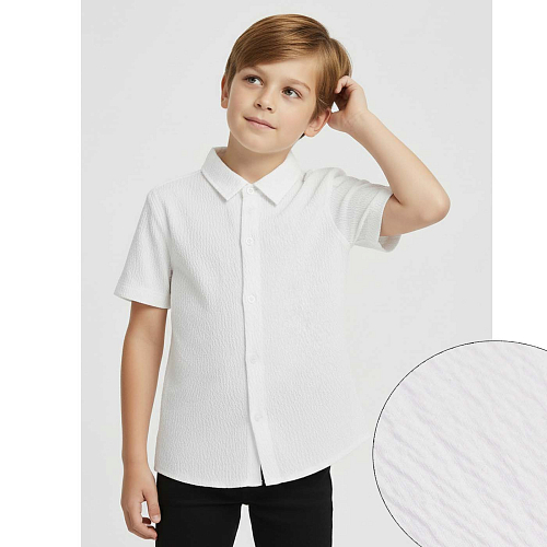 рубашки и поло