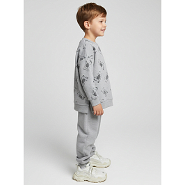 Костюм футер 2х нитка петля 8438300208