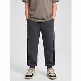 Штаны футер 2х нитка петля 1495320103