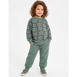 Костюм футер 2х нитка начёс 8003310103