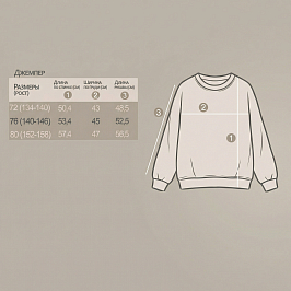 Джемпер-обманка футер 2х нитка петля 2026320103