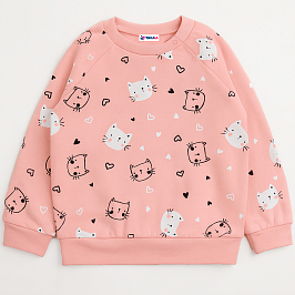 Толстовка 2х нитка начес 1027310114