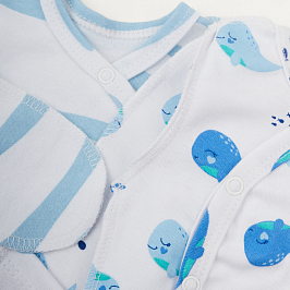 Комплект распашонок  2 шт интерлок 1204202502