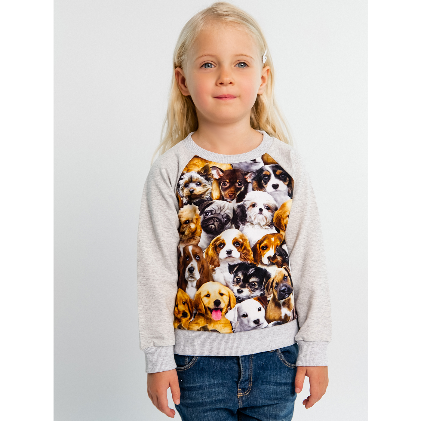 Толстовка футер 2х нитка петля 0611320102 Толстовка футер 2х нитка петля 0611320102