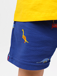 Комплект футболка кулирка шорты пике 7054900102