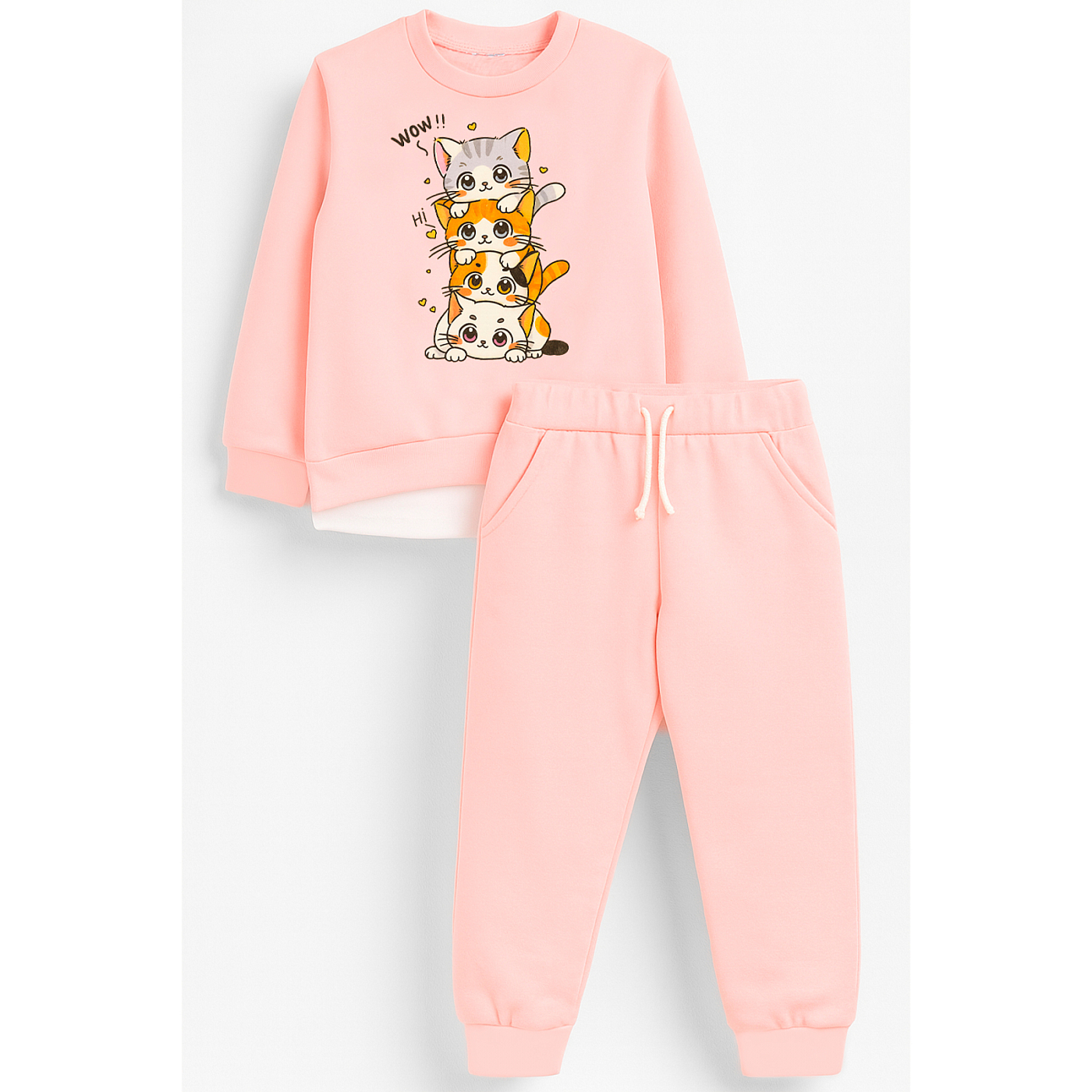 Костюм футер 2х нитка начёс  8803310102 Костюм футер 2х нитка начёс  8803310102