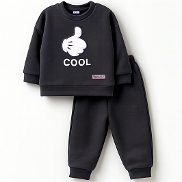 Костюм футер 3х нитка петля 8438330102