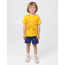 Комплект футболка кулирка шорты пике 7054900102